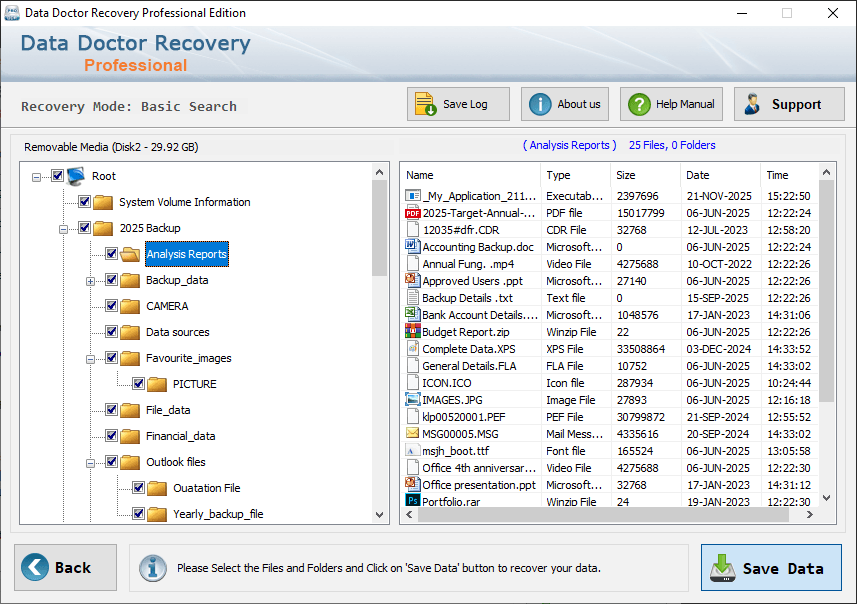 Professional Data Recovery